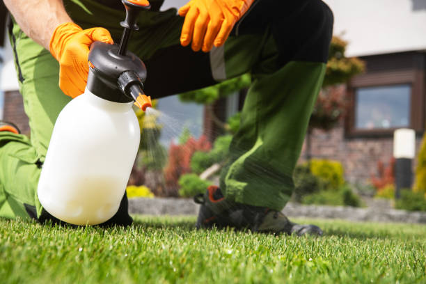 Best Flea Control Services  in Nicollet, MN
