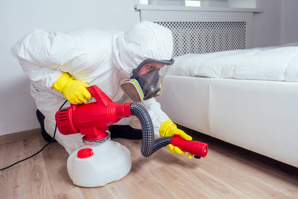 Best Mosquito Control Services  in Nicollet, MN