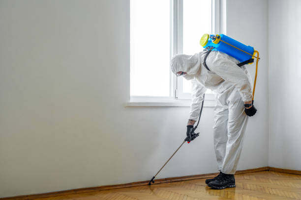 Best Mosquito Control Services  in Nicollet, MN