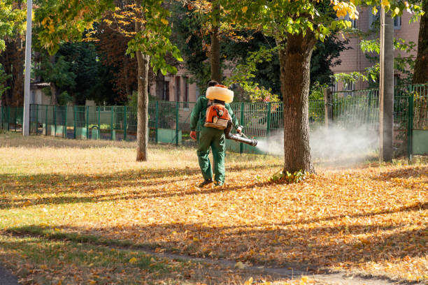 Best Wasp Removal Services  in Nicollet, MN