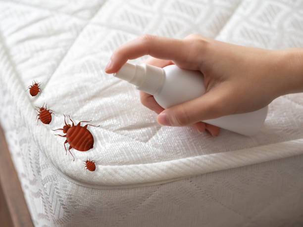 Best Commercial Pest Control Services  in Nicollet, MN