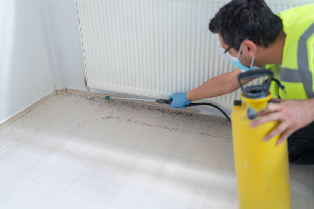 Wasp Removal Services in Nicollet, MN